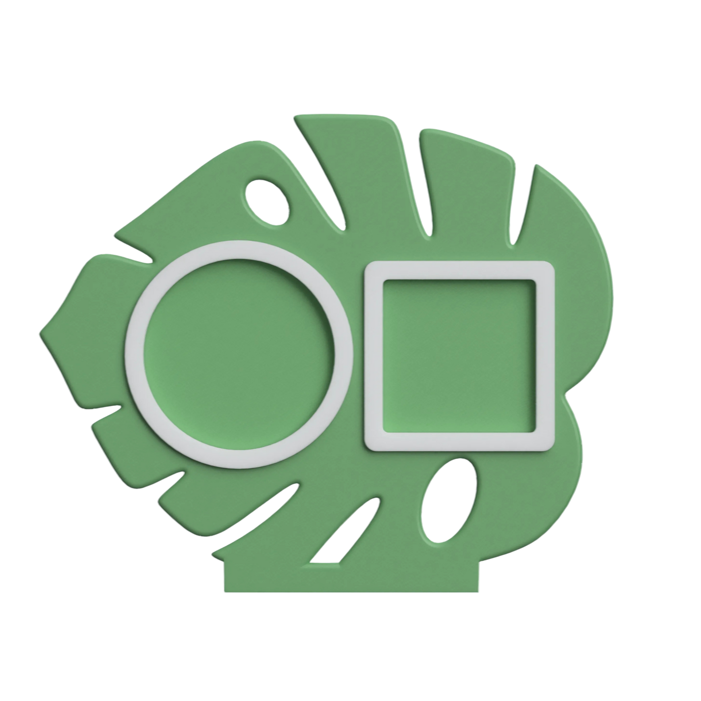 Digital Download - NFC Display Backing - Monstera Leaf Backing